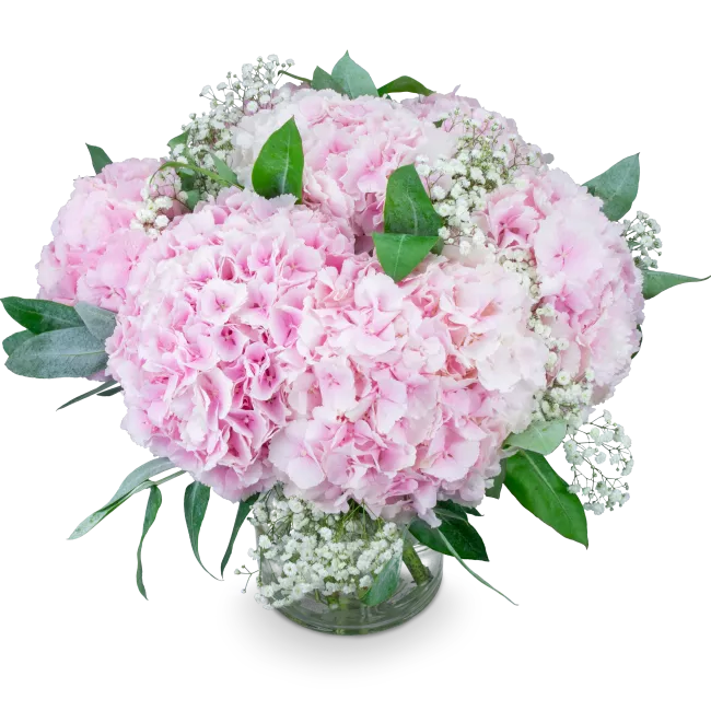 bouquet of hydrangeas